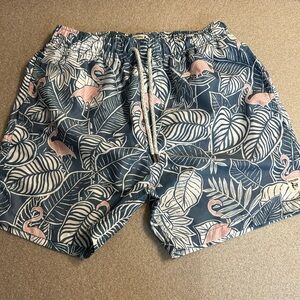 The Endless Summer Men’s Swim Trunks, Large